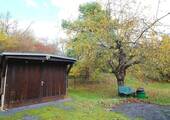 IMG_3786.JPG - 