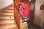 IMG_3773.JPG - 