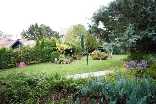 Blick in den Garten - 