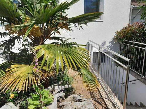 Hinterer Ein- und Ausgang - 