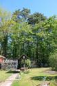 Blick nach Nord in den hinteren Garten - Sie suchen in Nürnberg? - 620.000,00&nbsp;EUR Kaufpreis,