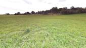 Bild 11 - 