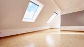 DG Studio - 