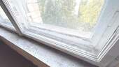 Fenster - 
