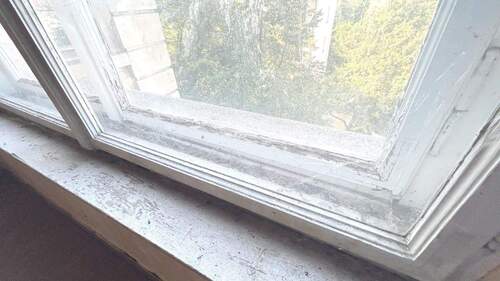 Fenster - 