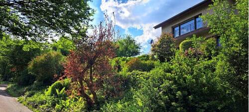 Bild... - 6 Zimmer Einfamilienhaus in Reichshof