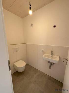 Separates WC - 