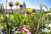 Schlossgarten - 