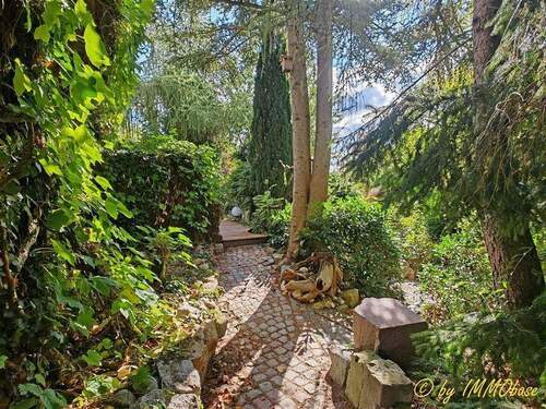 Terrassenzugang zum Garten - 3 Zimmer Einfamilienhaus in Frankenberg