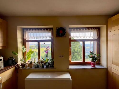 Fenster Küche - 