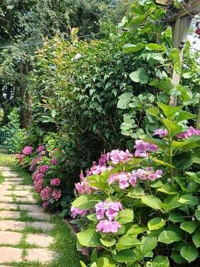 Garten (6) - 