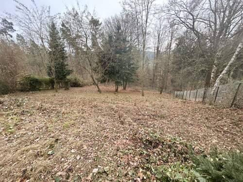 Ausblick aufs Grundstück - 