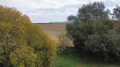 Aussicht aufs Feld - Grundstück in Steffenshagen