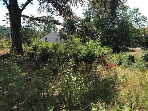 Ansicht 4 - Teilbares Baugrundstück in bevorzugter Wohnlage von Homburg