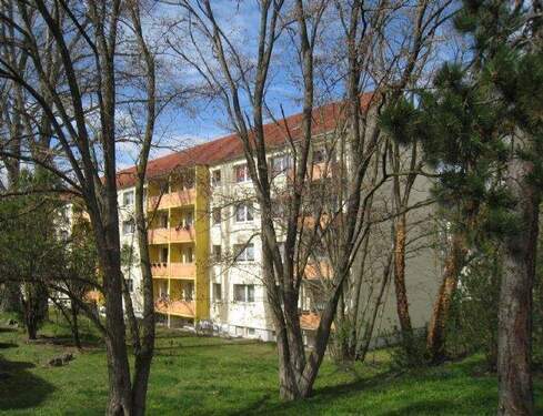 Zeitzer Straße 61 - WSF: Guter Zuschnitt, ruhig, mit Balkon