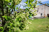 Bild 20 - 