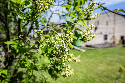 Bild 20 - 