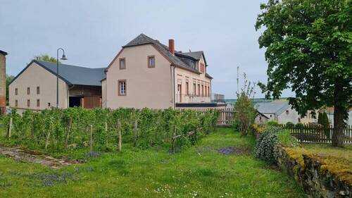 Blick vom Garten - 
