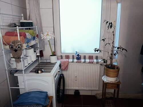 Das moderne Duschbad (3).jpg - 