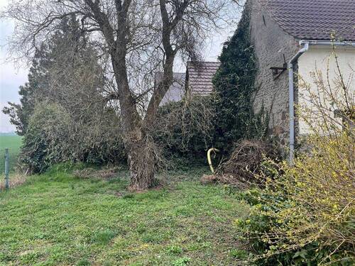 Hof - Einfamilienhaus mit 100,00 m² in Rosenfeld zum Kaufen