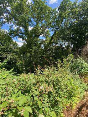 Grundstück Triller - Grundstück zum Kaufen in Saarbrücken