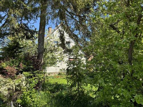 Haus - 