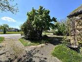 Blick aus der Scheune - 