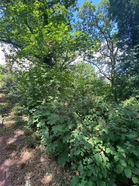 Grundstück Triller - 