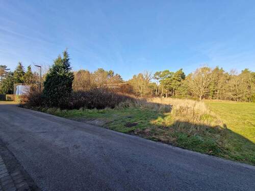 GST Straßenansicht 1 - Unbebautes Grundstück am Rand des Darß-Waldes