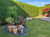 Garten.jpg - 