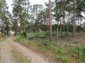 Straße links Richtung Süden - Grundstück in Mittenwalde