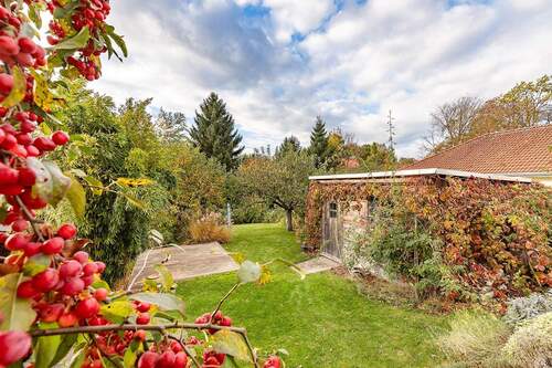 Blick in den Garten.jpg - 