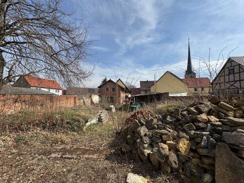 Garten mit Blick zum Haus - 