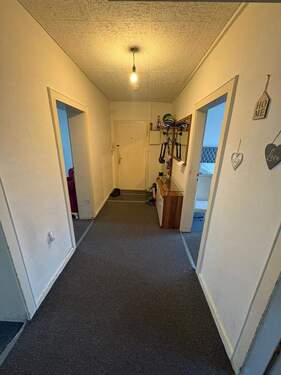 WhatsApp Image 2026-02-13 at 12.02.34 (1).jpeg - 