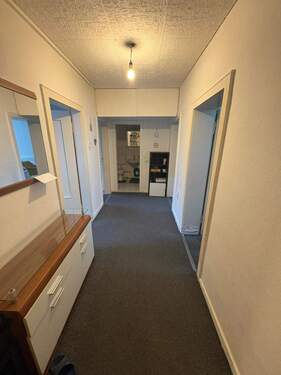 WhatsApp Image 2026-02-13 at 12.02.34.jpeg - 