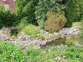 Teich - 