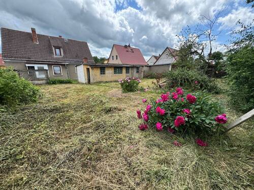 Ansicht vom Garten - 