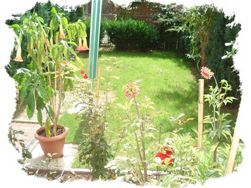 Garten.JPG - 1 Zimmer Mehrfamilienhaus, Wohnhaus zum Kaufen in Altenburg