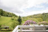 balkon-004.jpg - 