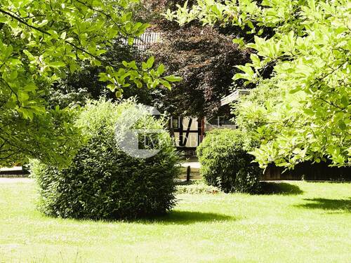 210.Grundstück (3) - 