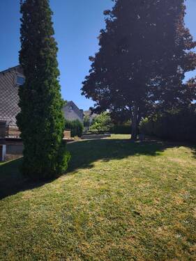 Grundstück bepflanzt - 