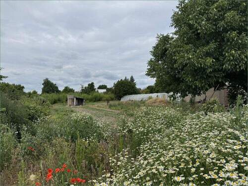 Bild 2 - Grundstück zum Kaufen in Hohe Börde OT Niederndodeleben