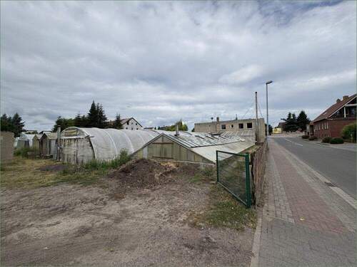 Bild 3 - Grundstück in Hohe Börde OT Niederndodeleben