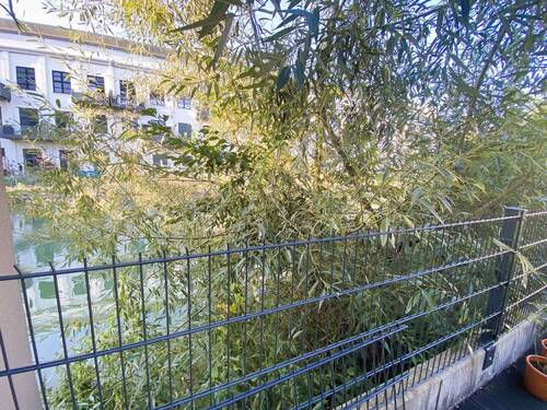 eigener großer Garten - 