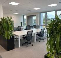 Offene Arbeitsplätze im Grünen Coworking Frechen flexibel sofort verfügbar