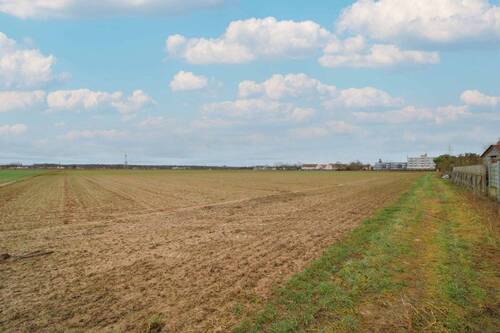 Ansicht Grundstück - Investitionschance: Großes Bauerwartungsland in Kandel mit ca. 27.743 m² Fläche