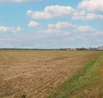 Investitionschance: Großes Bauerwartungsland in Kandel mit ca. 27.743 m² Fläche
