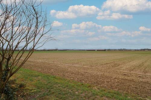 Ansicht Grundstück - Grundstück in Kandel zum Kaufen