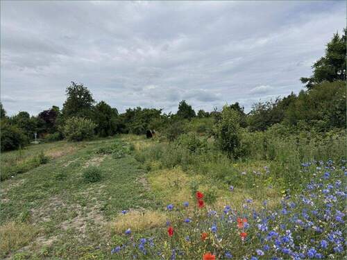 Bild 1 - Bauland im Mischgebiet ca. 5.800 m² Hohe Börde OT Niederndodeleben