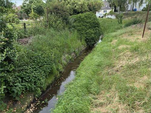 Bild 4 - Grundstück in Hohe Börde OT Niederndodeleben zum Kaufen